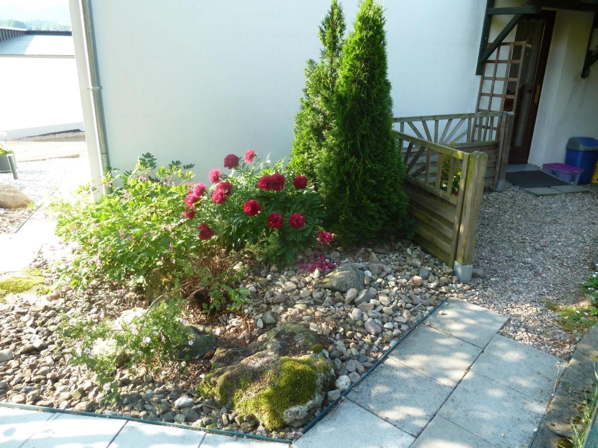 Ferienwohnung Lotti Brotterode Extérieur photo